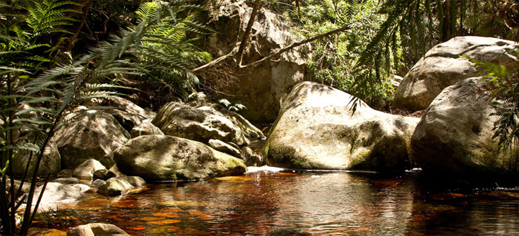 Swellendam Luxury Accommodation